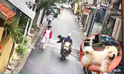 MÃ¡ÂºÂ¹ tÃÂ´i ngÃÂ£ nhÃÂ o vÃÂ¬ bÃ¡Â» thanh niÃÂªn dÃÂ¹ng thÃÂ²ng lÃ¡Â»ng cÃÂ°Ã¡Â»p chÃÂ³