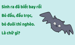 Cái gì bỏ đầu, đầu trọc, bỏ đuôi thì nghèo?
