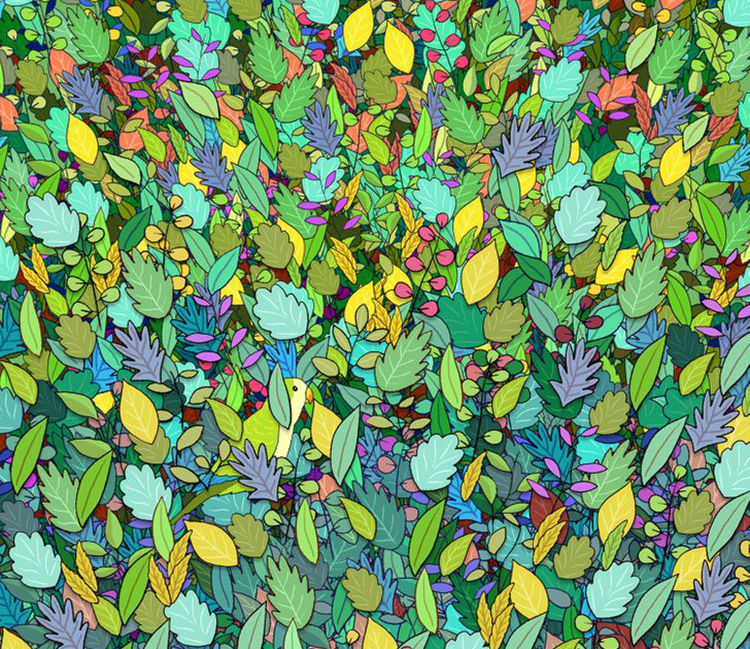 Sáu câu đố tìm hình ẩn trong tranh - 2