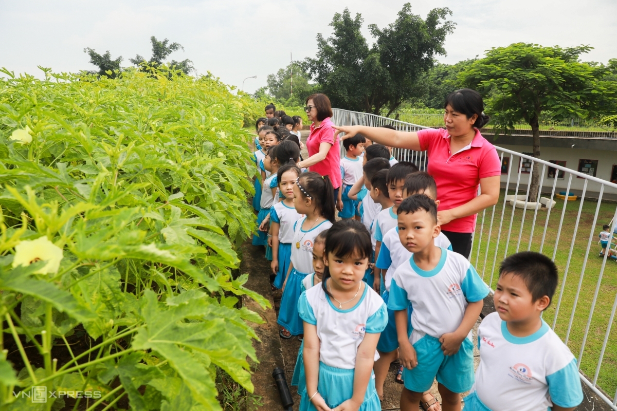 Cô trò trường Mầm non Những bông hoa nhỏ (phường Hóa An, TP Biên Hòa, Đồng Nai), tháng 7/2020. Ảnh: Quỳnh Trần