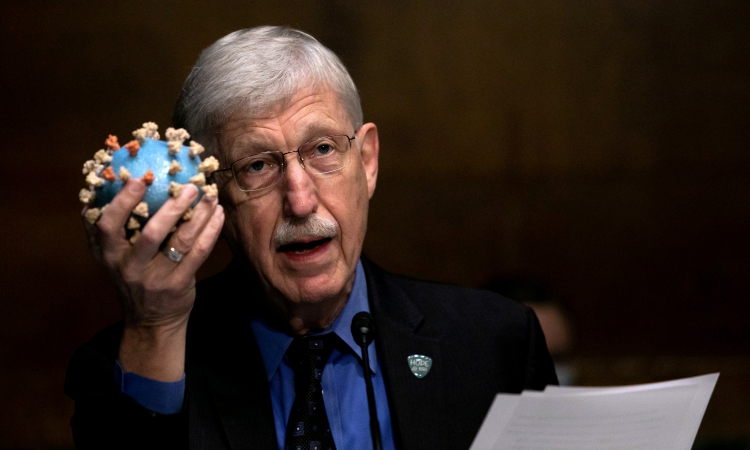 Giám đốc Viện Y tế Quốc gia Mỹ (NIH) Francis Collins trong một cuộc họp ở Đồi Capitol hồi tháng 7/2020. Ảnh: Reuters.