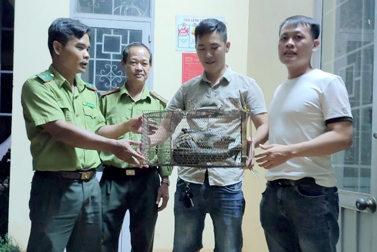 Anh Dương (thứ 2 từ bên phải) bàn giao hai con tê tê cho kiểm lâm. Ảnh: Văn Trăm